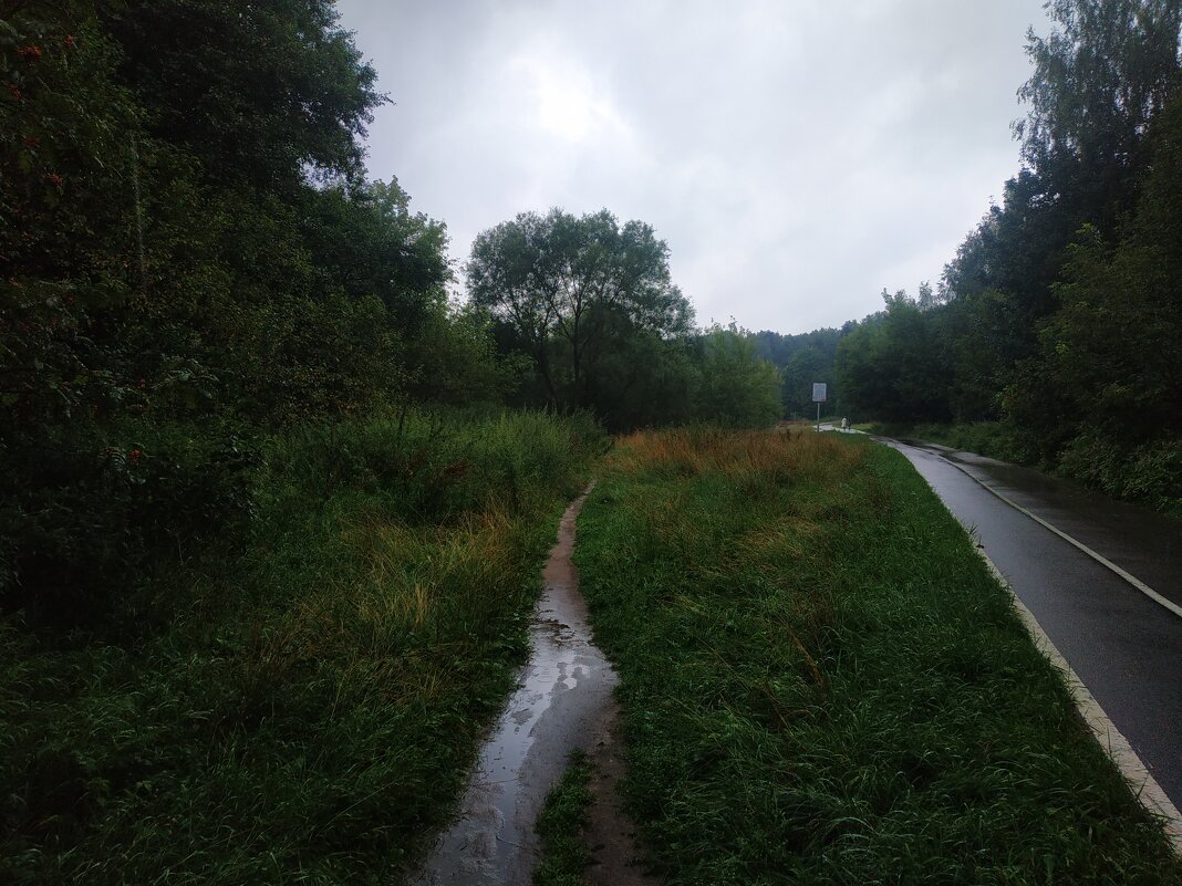 Сегодня - дождь - Андрей Лукьянов