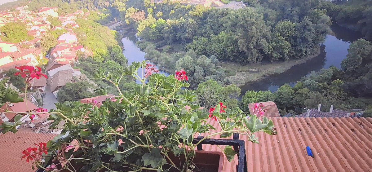 ЛЕ БО 5 (38) - CLOSE WAYS ALL