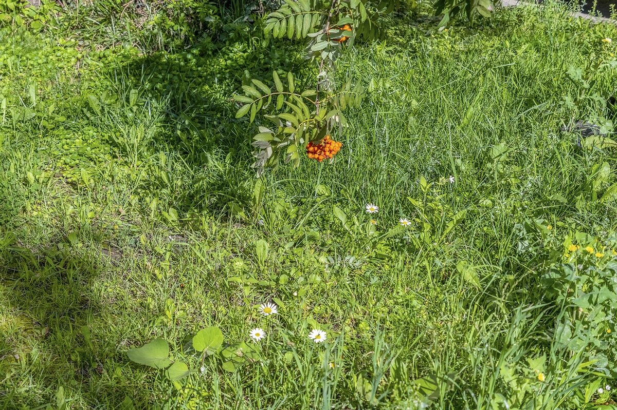 Август - Валерий Иванович