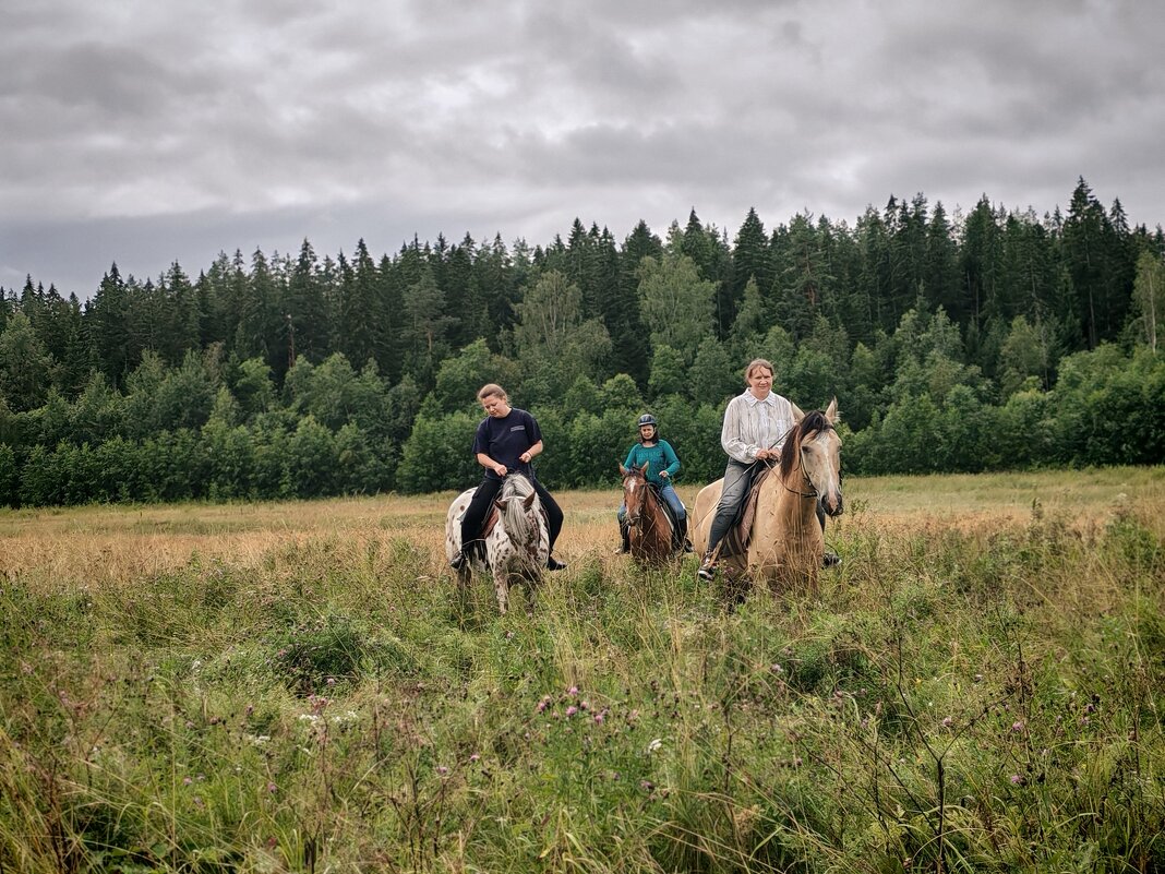 Прогулка в полях. - Ольга 