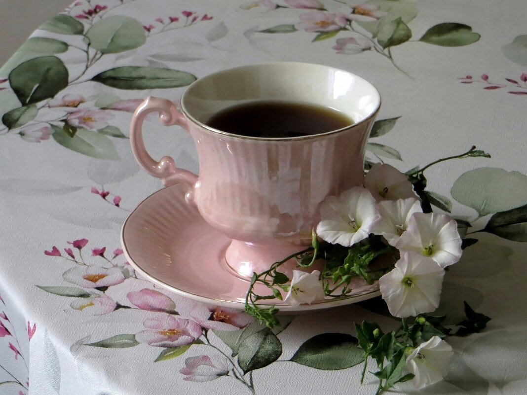 Утренний кофе - Татьяна Смоляниченко Утренний кофе - Татьяна Смоляниченко