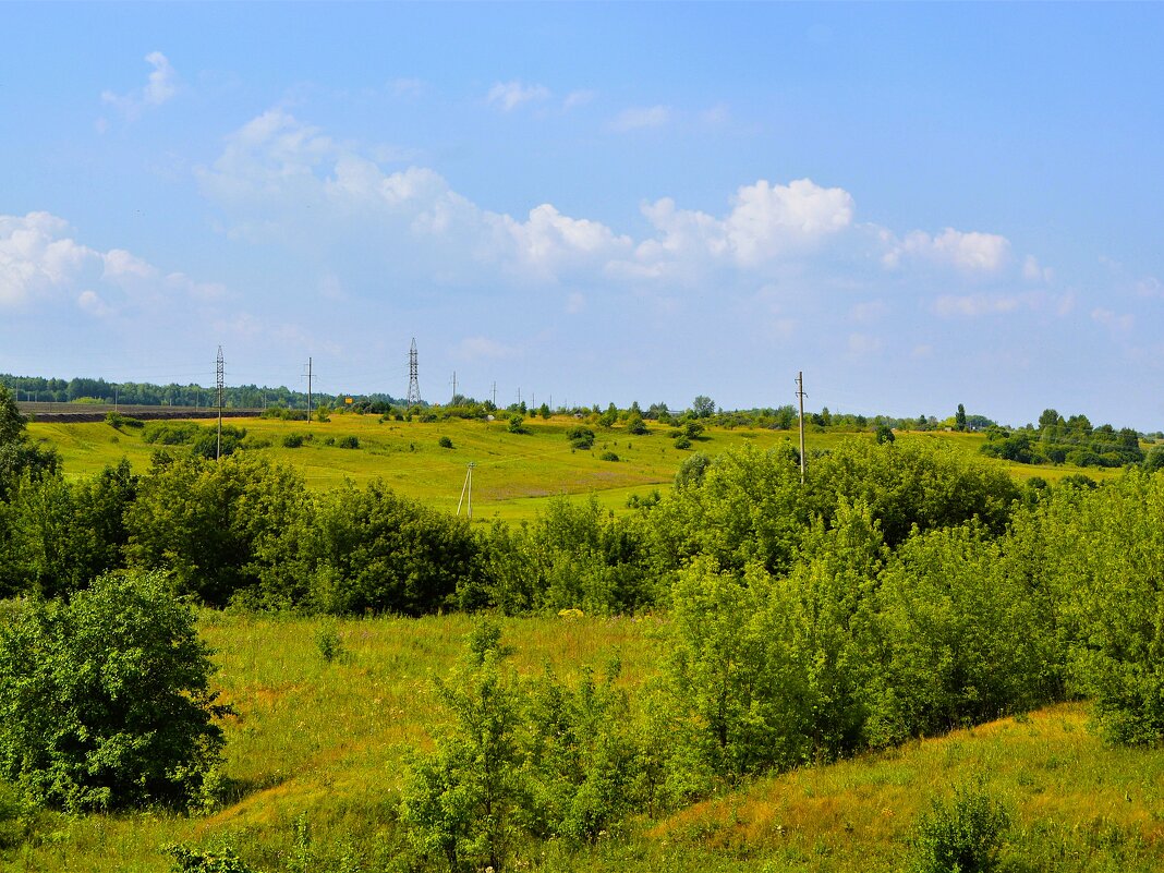 Алатырь. Кустарниковые заросли в пойме реки Алатырь. - Пётр Чернега