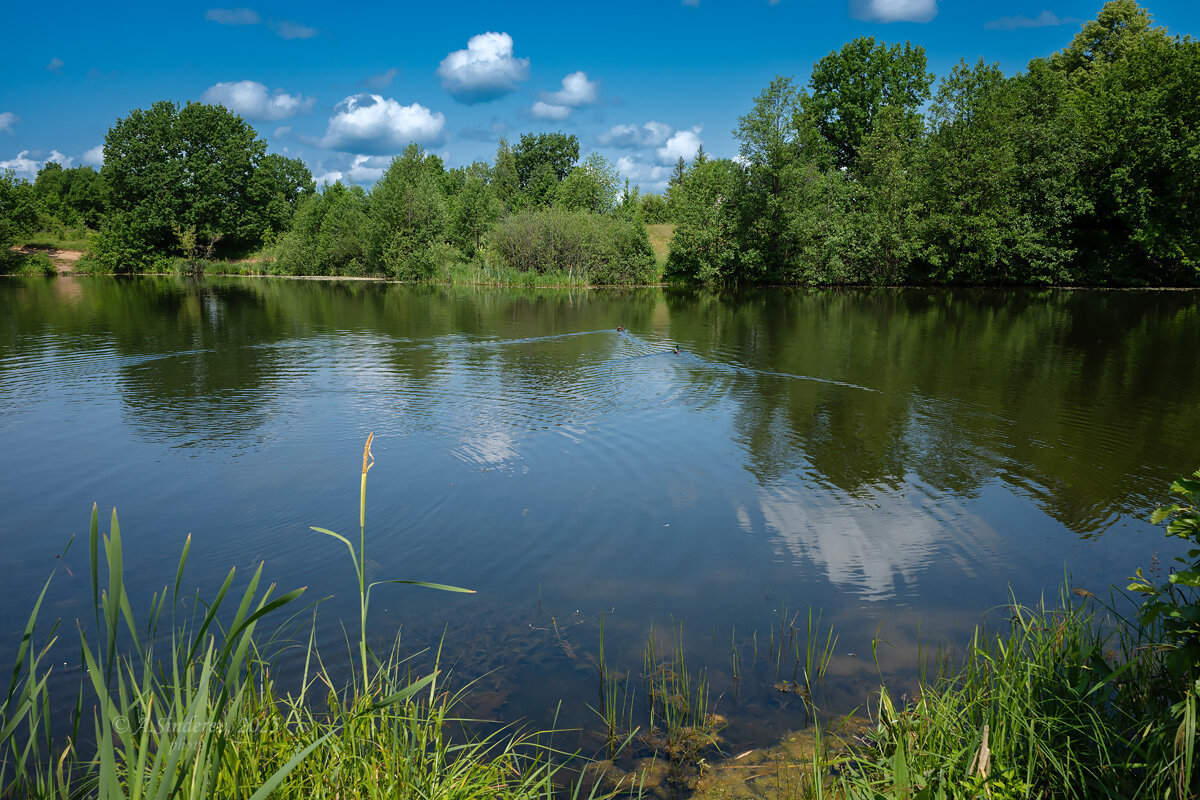 Природа Лунского озера - Александр Синдерёв