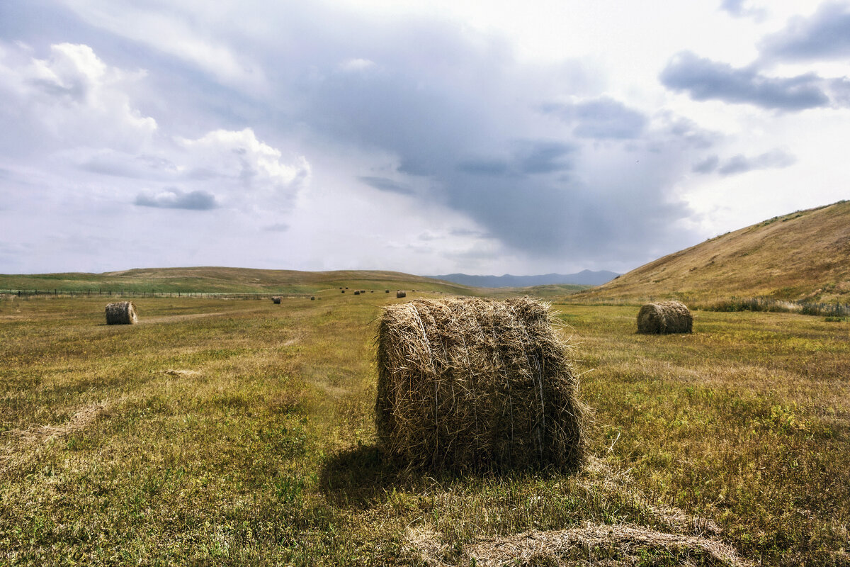 "... не откладывай на завтра..." - LudMila "... не откладывай на завтра..." - LudMila