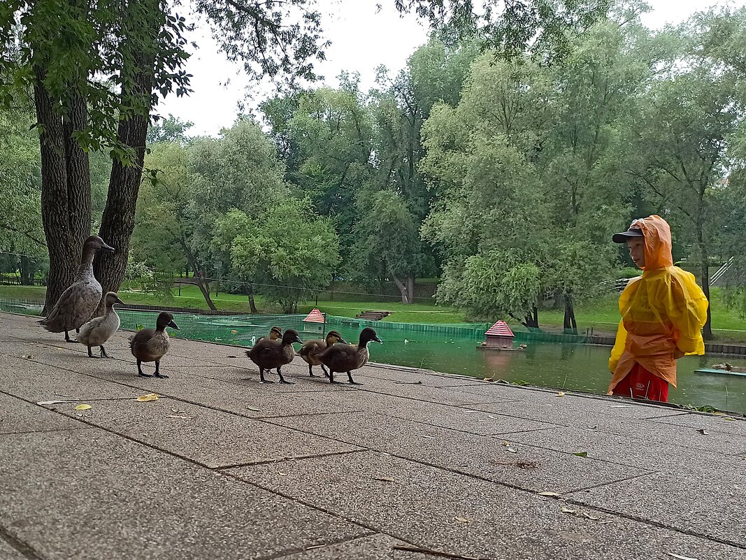 Семейство на прогулке - svk * Семейство на прогулке - svk *