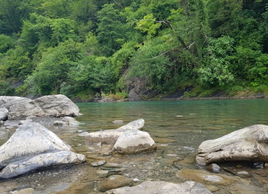 ГОРНАЯ РЕЧКА - Tata Wolf