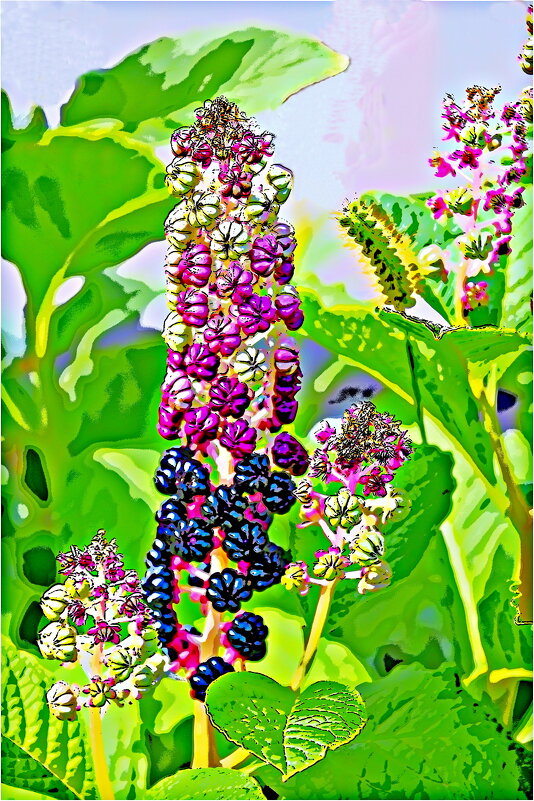 ЛЕТО - Юрий Владимирович 34 ЛЕТО - Юрий Владимирович 34