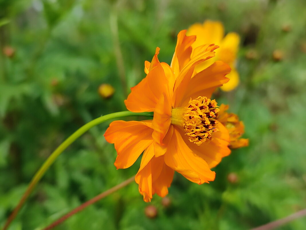 Ветер - Валентина Богатко 