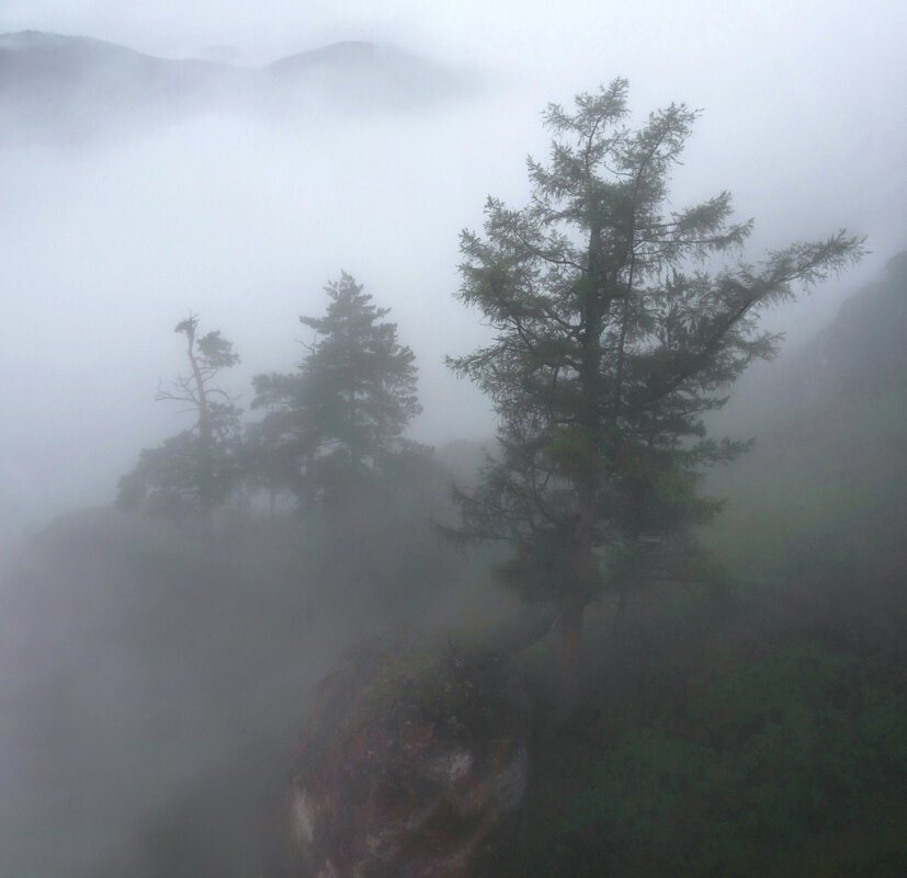 Туман Торгашинского хребта - Марина Фомина.