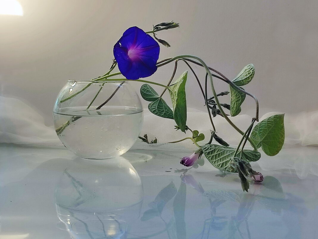 *** - Валентина Богатко *** - Валентина Богатко