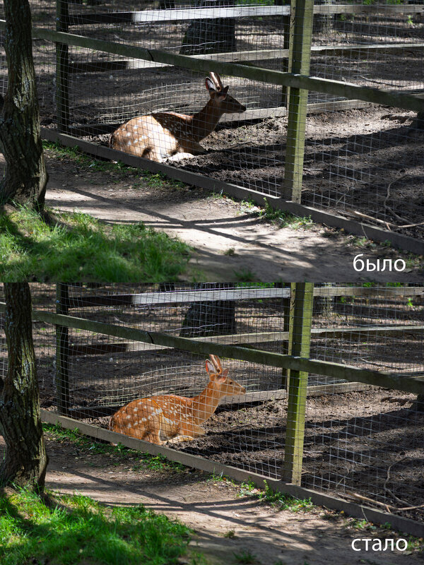 Обработка. - Борис Калитенко