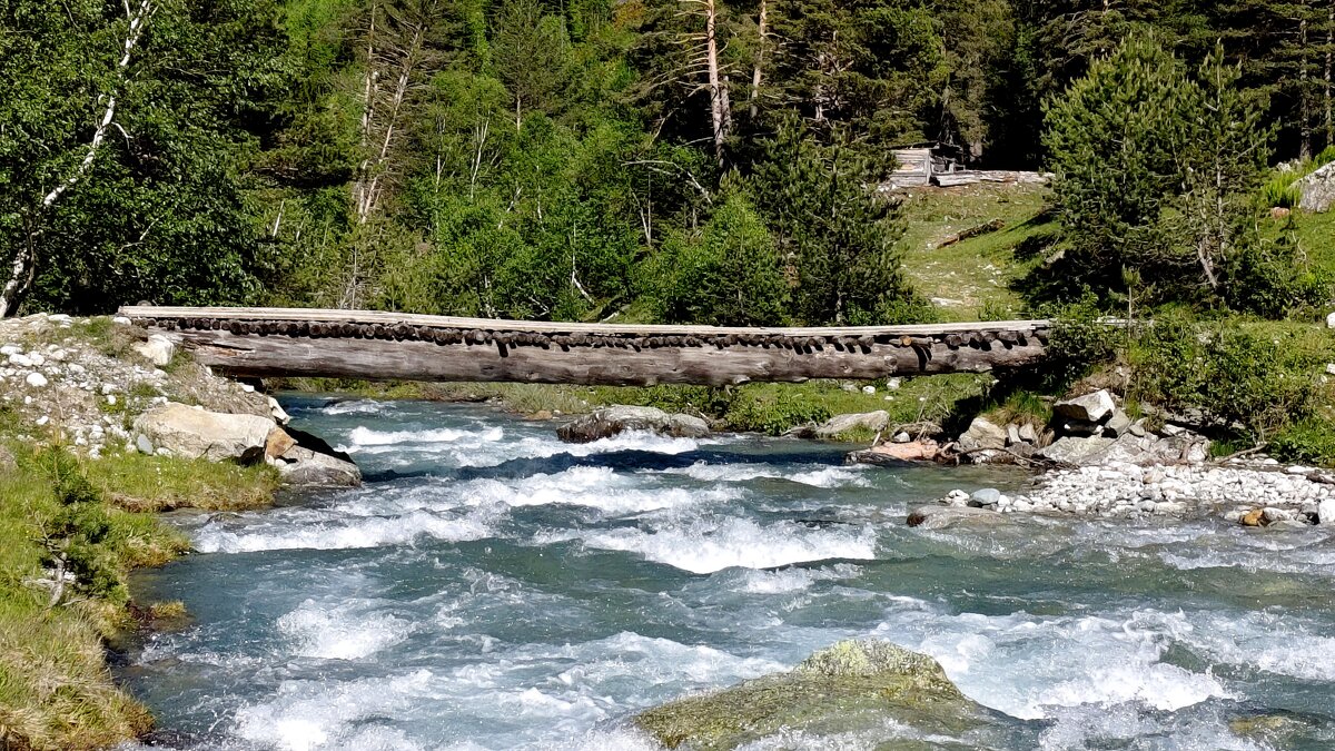 Камазы с лесом по нему едут... - Александр Кондаков