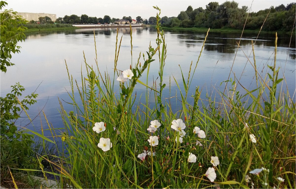 Березина - Геннадий Худолеев Худолеев Березина - Геннадий Худолеев Худолеев