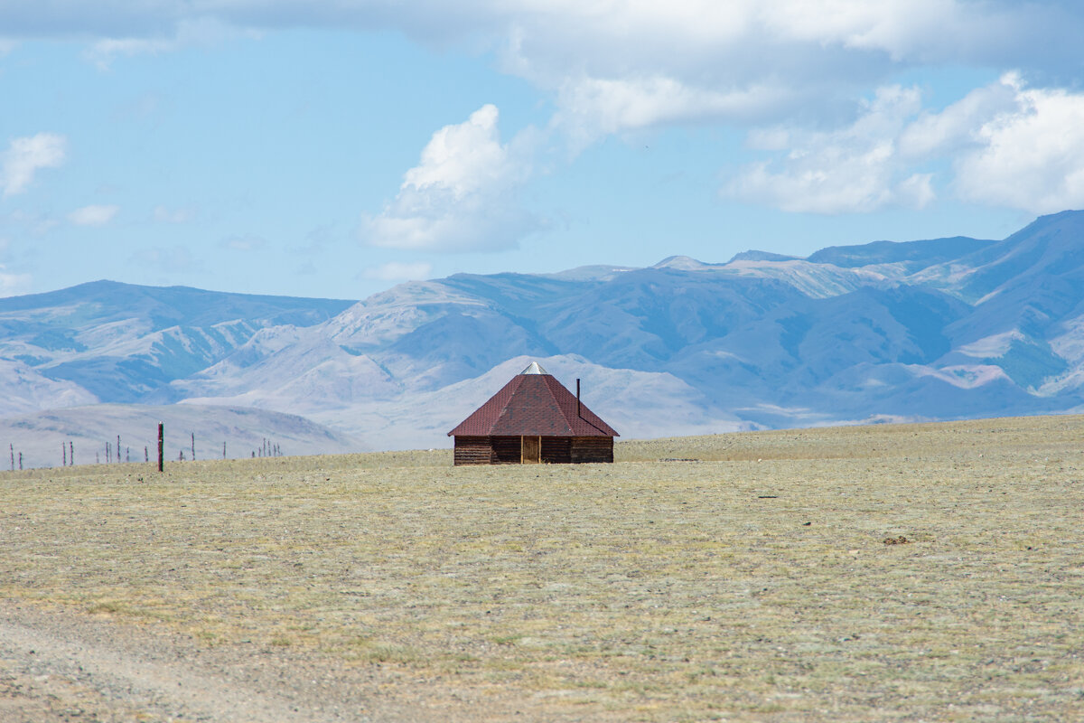 *** - Николай Чекалин