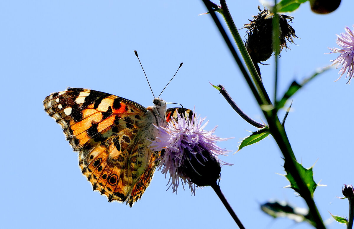 из снятого 1 августа 25 - Александр Прокудин