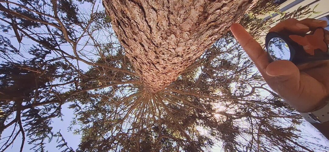 ЛЕ БО 5 (49) - CLOSE WAYS ALL