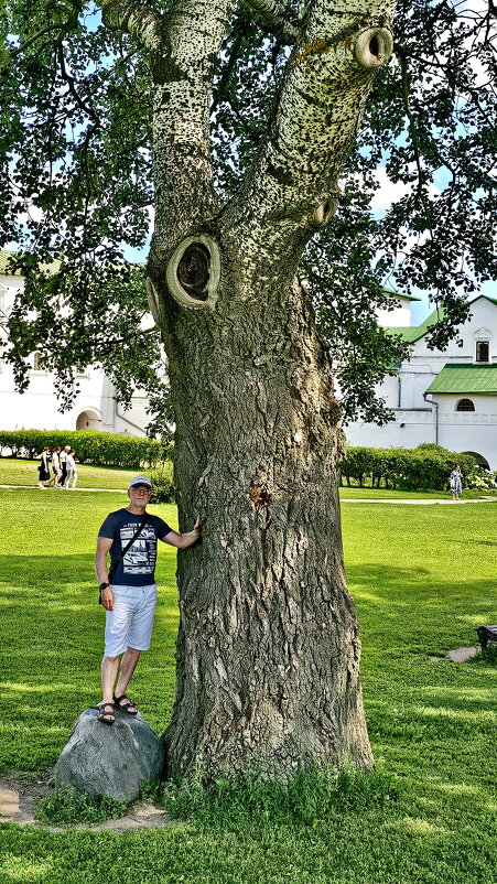 Суздаль - Михаил Свиденцов Суздаль - Михаил Свиденцов