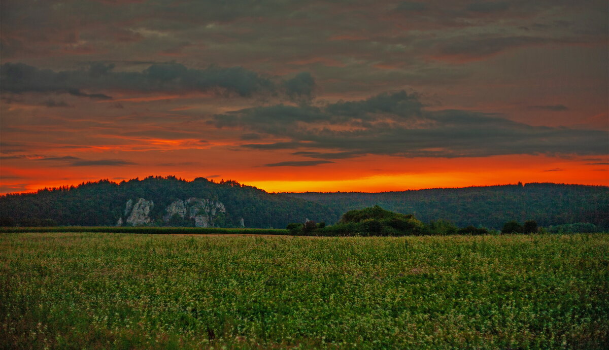 --- - vladimir --- - vladimir