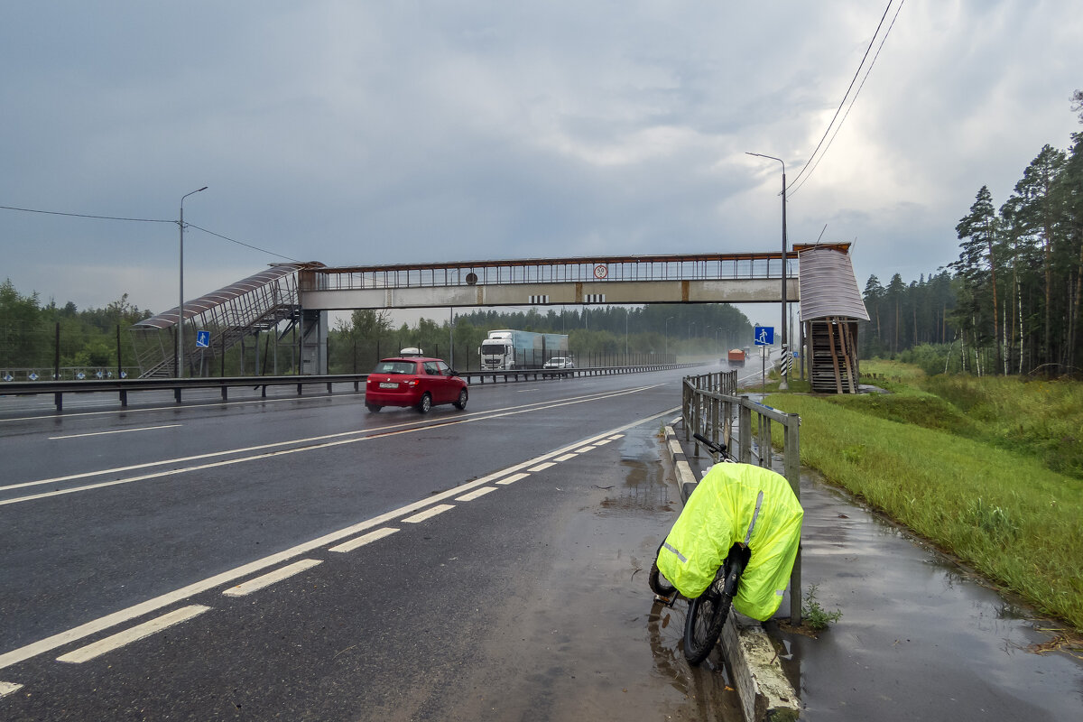 И пришла дождевая туча - Сергей Цветков И пришла дождевая туча - Сергей Цветков