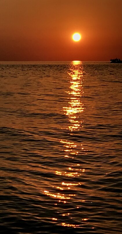 Солнечная дорожка - Pippa 