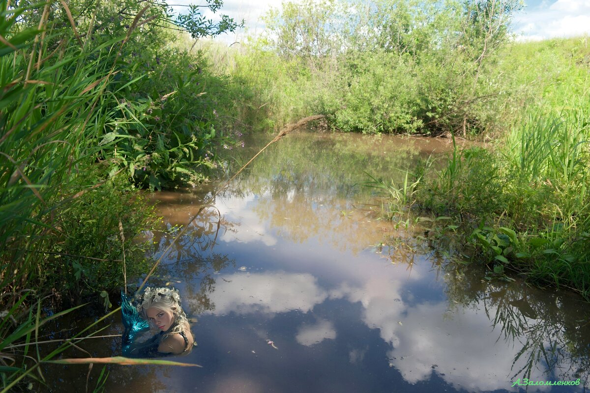У оптимиста русалка наполовину женщина, а у пессимиста — рыба… :-) - Андрей Заломленков