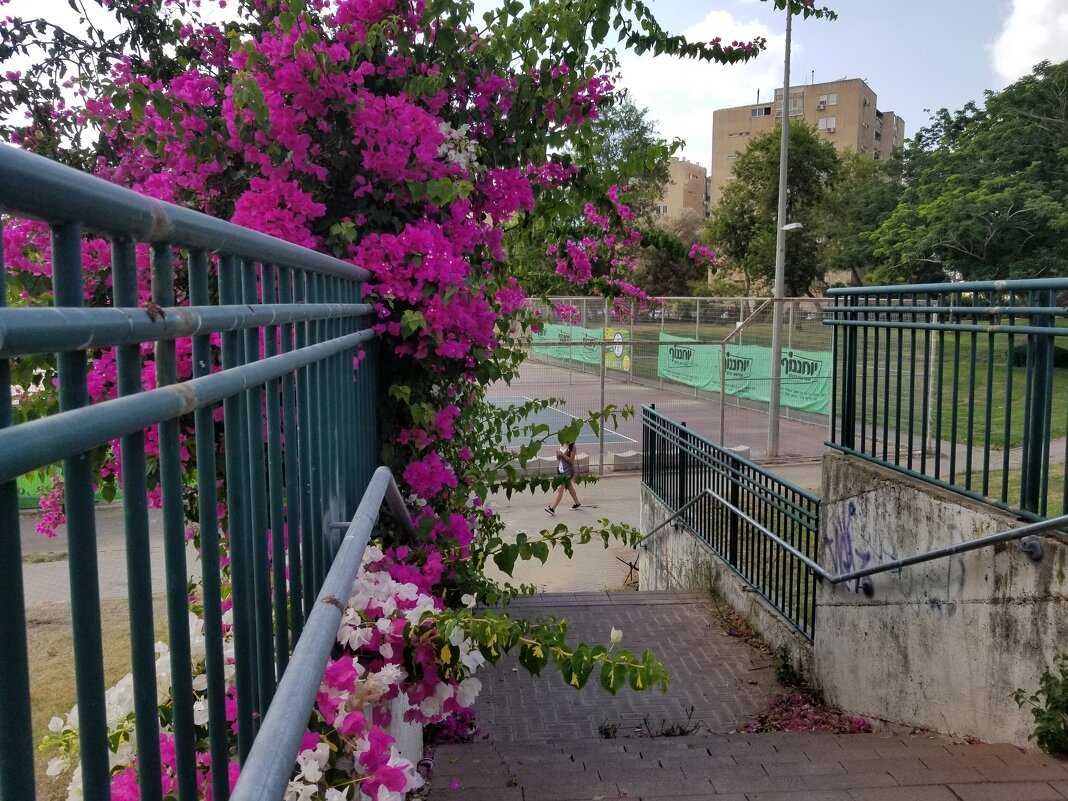 " - Светлана Хращевская