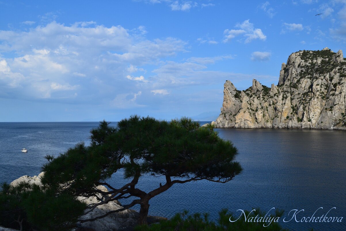 Природа Крыма - Amazing Cosmea Природа Крыма - Amazing Cosmea