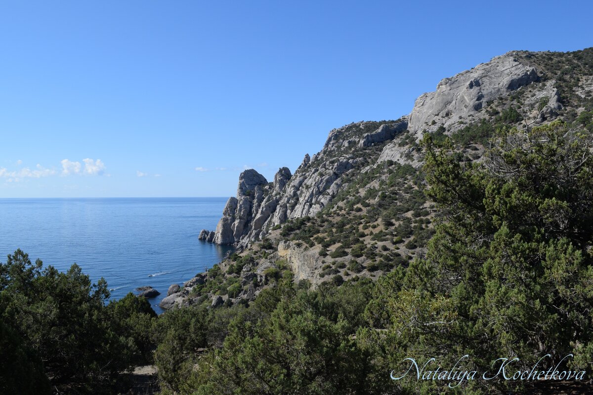 Природа Крыма - Amazing Cosmea