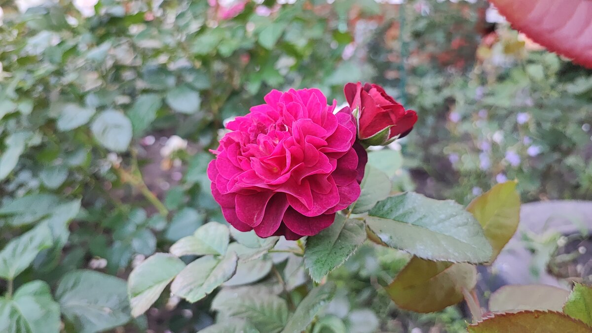 ,,, - Сергей Тимоновский