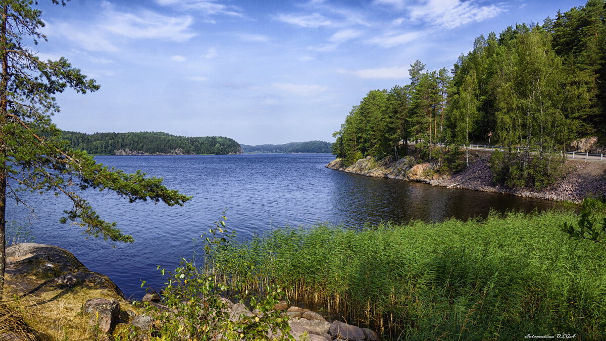 мыс - Ольга Cоломатина