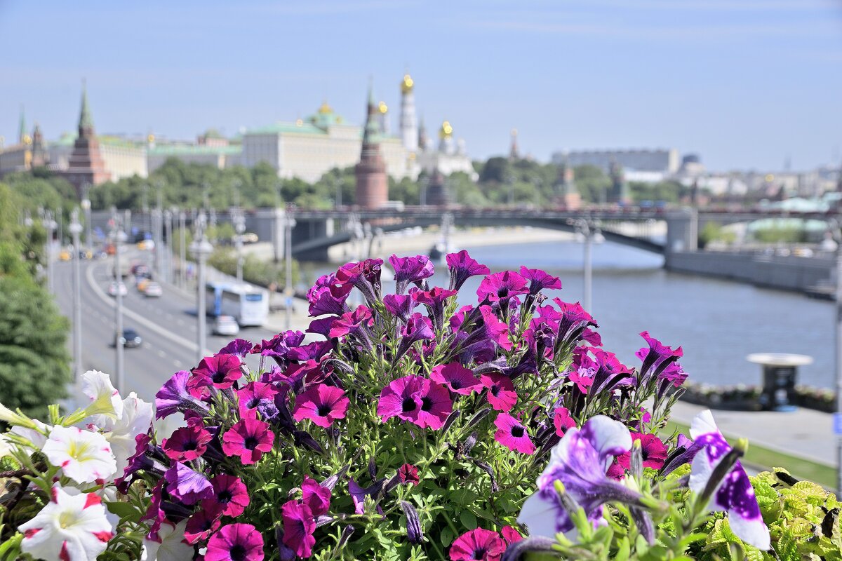 - - Владимир Мигонькин