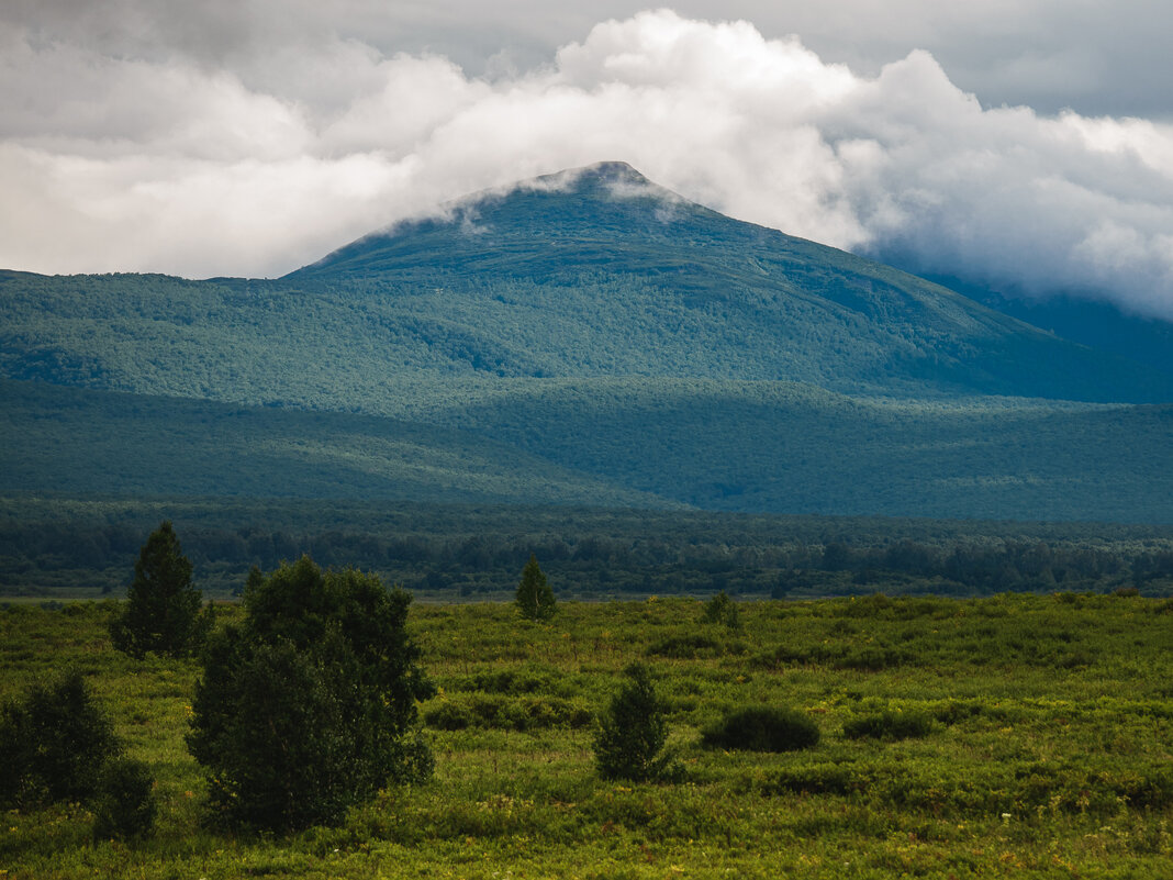 ... - Жора Житников