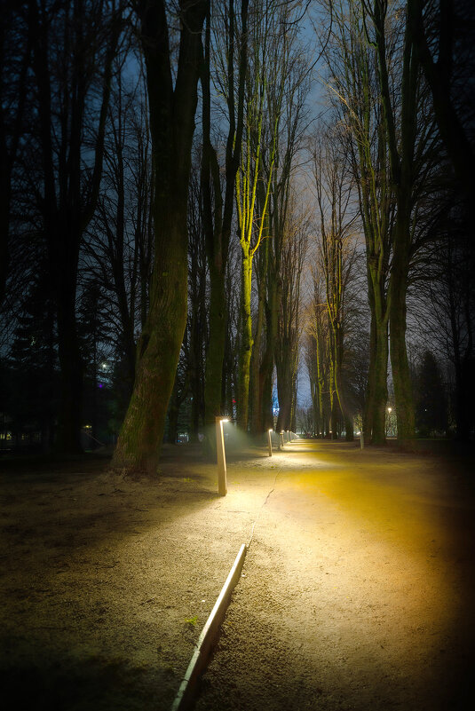 ночная аллея - Denis Doroshenko