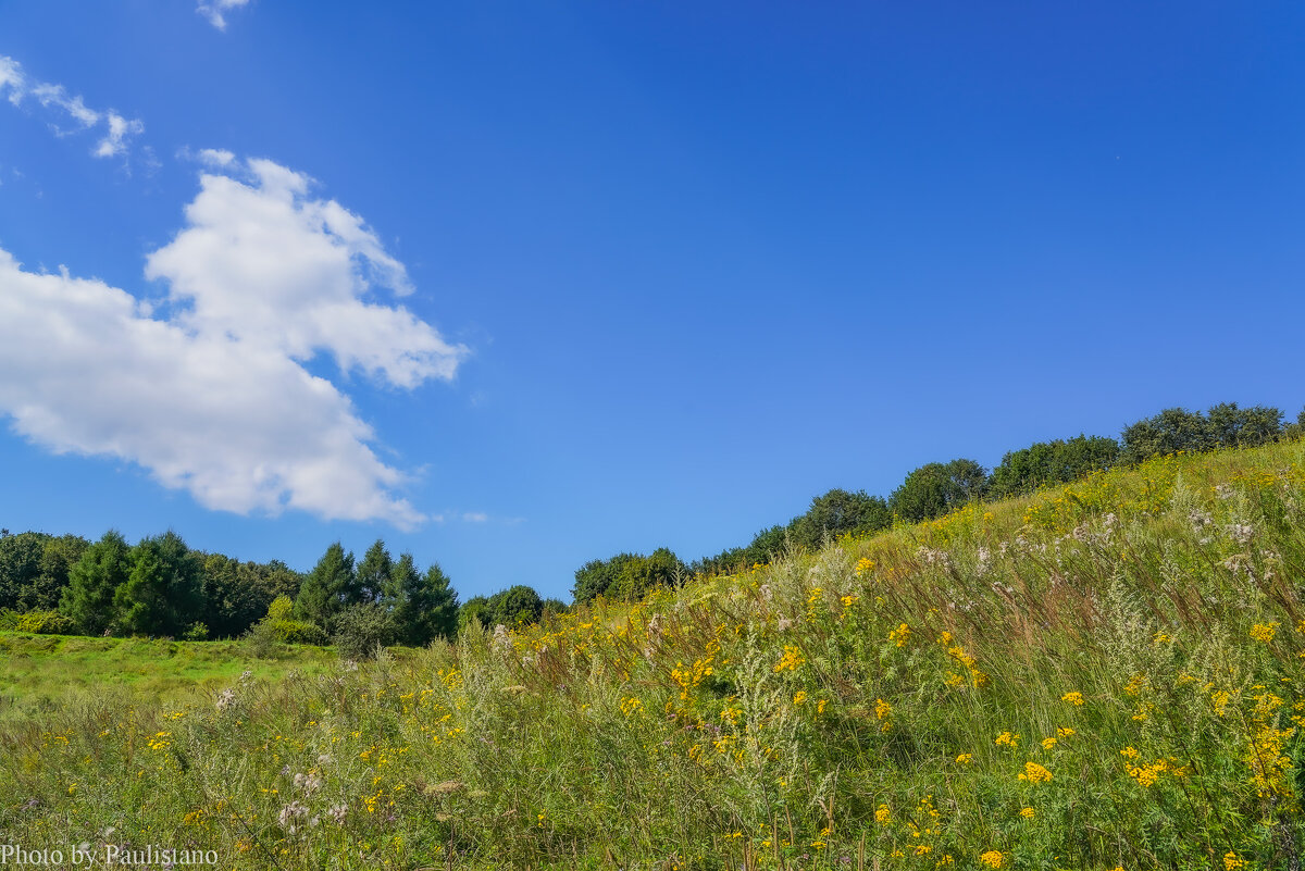 Палитра августа... - Владимир Жданов Палитра августа... - Владимир Жданов