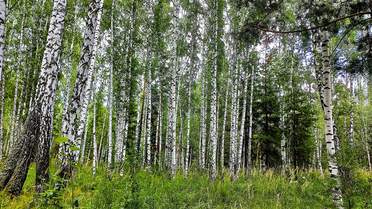 И всё поёт вокруг - Hope И всё поёт вокруг - Hope