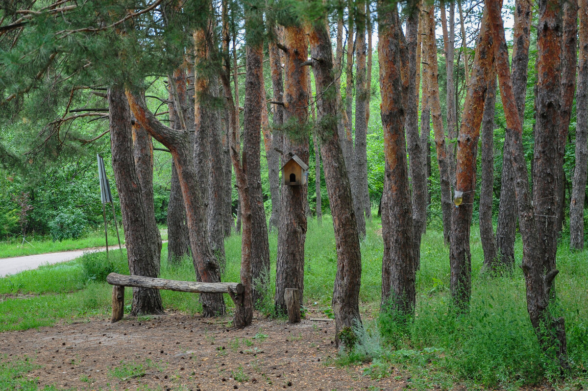 Райский уголок - Татьяна Машошина Райский уголок - Татьяна Машошина