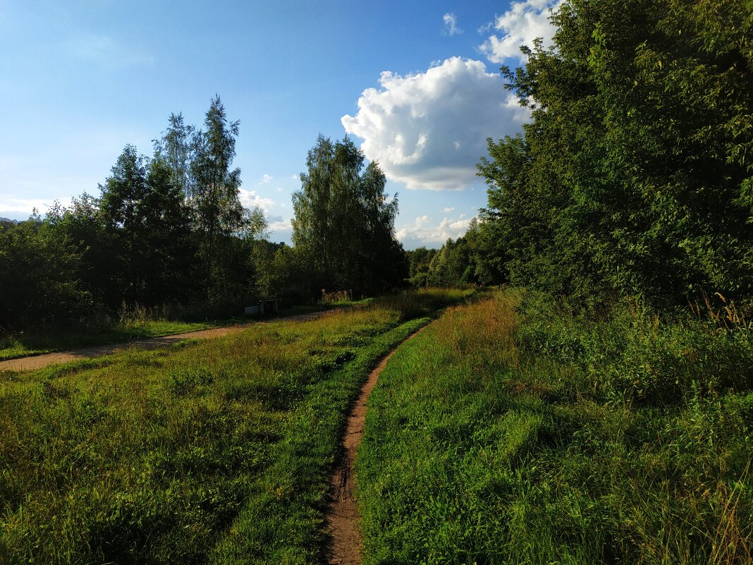 Август в Измайловском парке. Тема с вариацией - Андрей Лукьянов Август в Измайловском парке. Тема с вариацией - Андрей Лукьянов