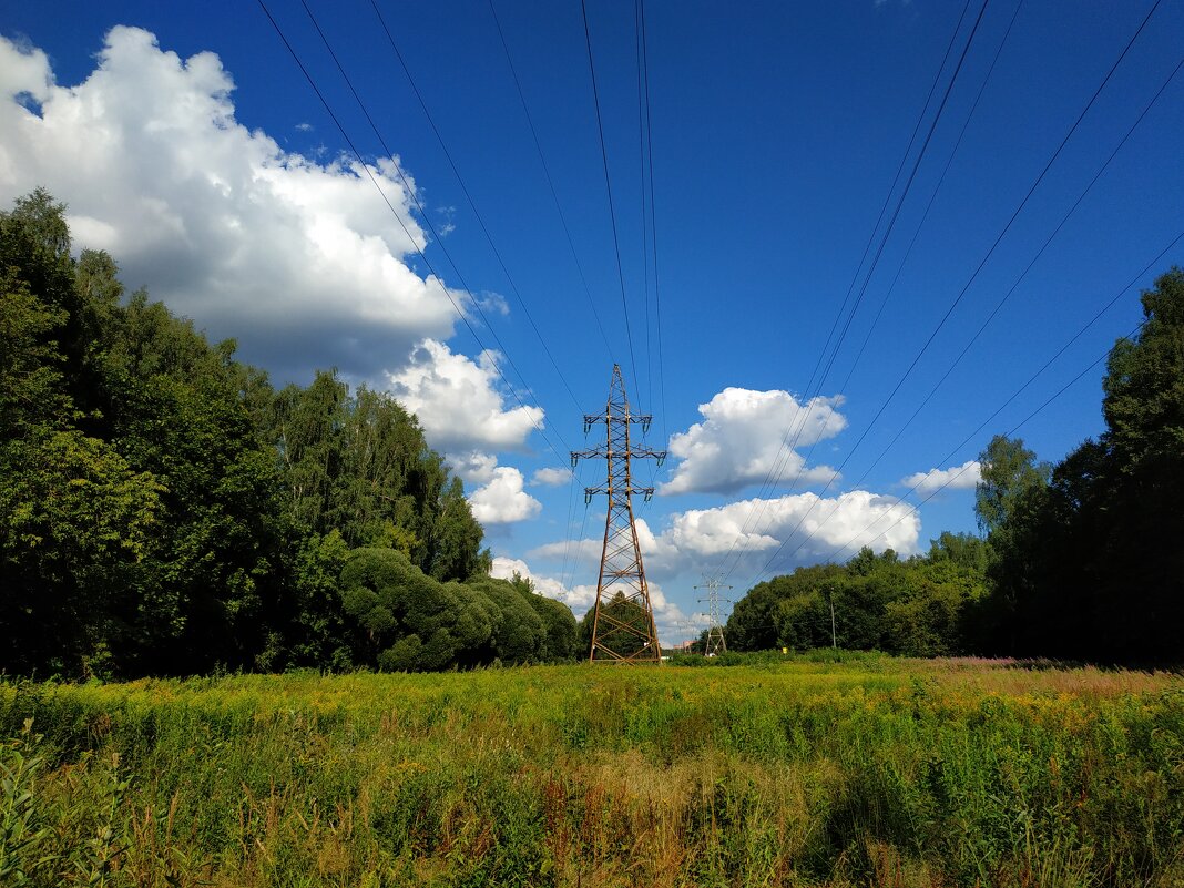 Август в Измайловском парке. Тема с вариацией - Андрей Лукьянов