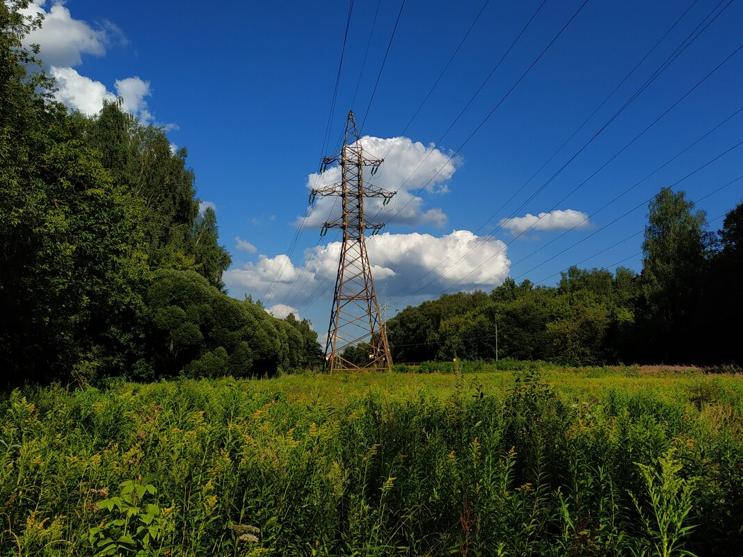 Август в Измайловском парке. Тема с вариацией - Андрей Лукьянов Август в Измайловском парке. Тема с вариацией - Андрей Лукьянов
