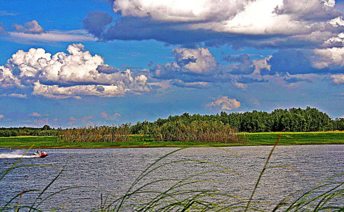 Праздник лета на протоке Кривой! - Владимир Праздник лета на протоке Кривой! - Владимир
