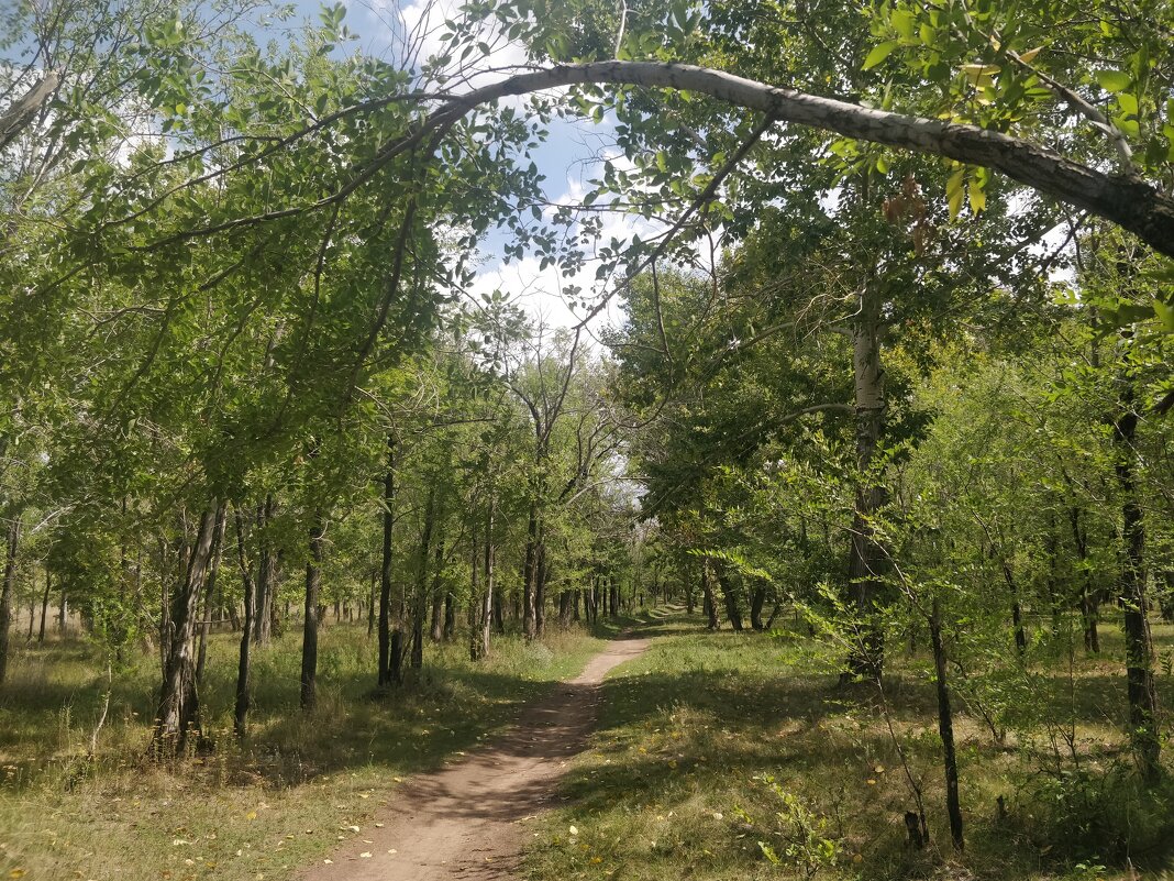 Тропинка... - Андрей Хлопонин Тропинка... - Андрей Хлопонин