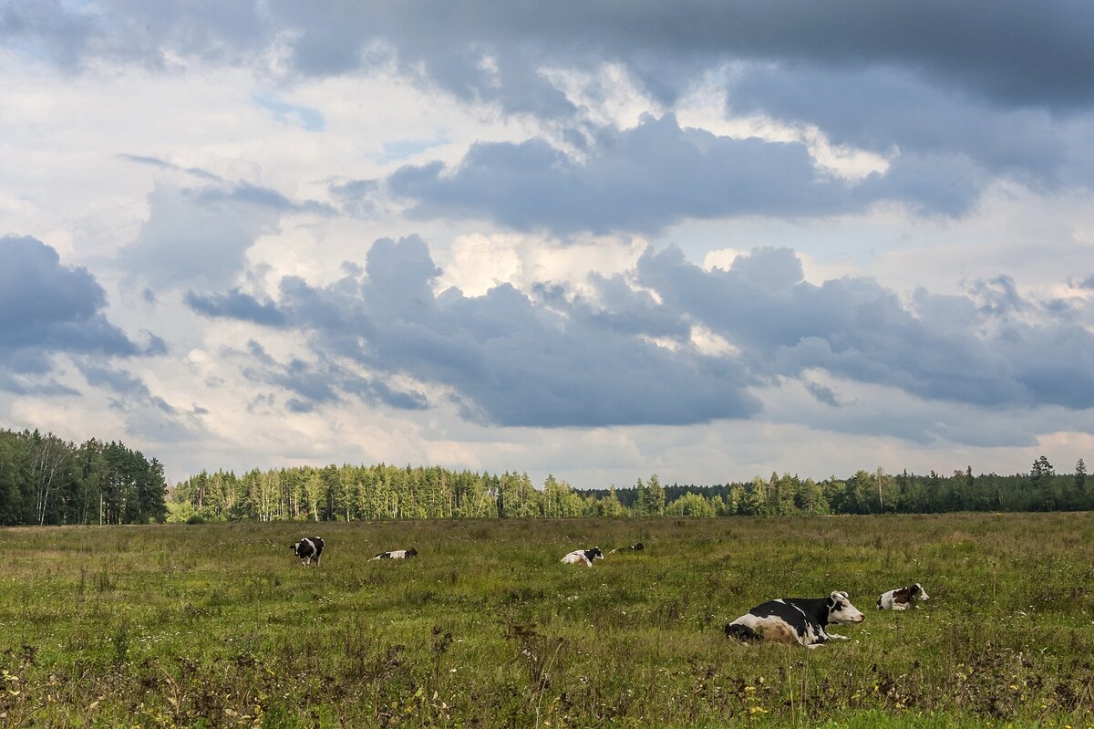 Сиеста - Валерий Иванович