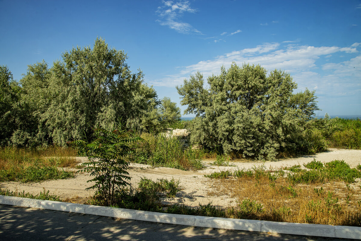 Берег - Анатолий Чикчирный Берег - Анатолий Чикчирный