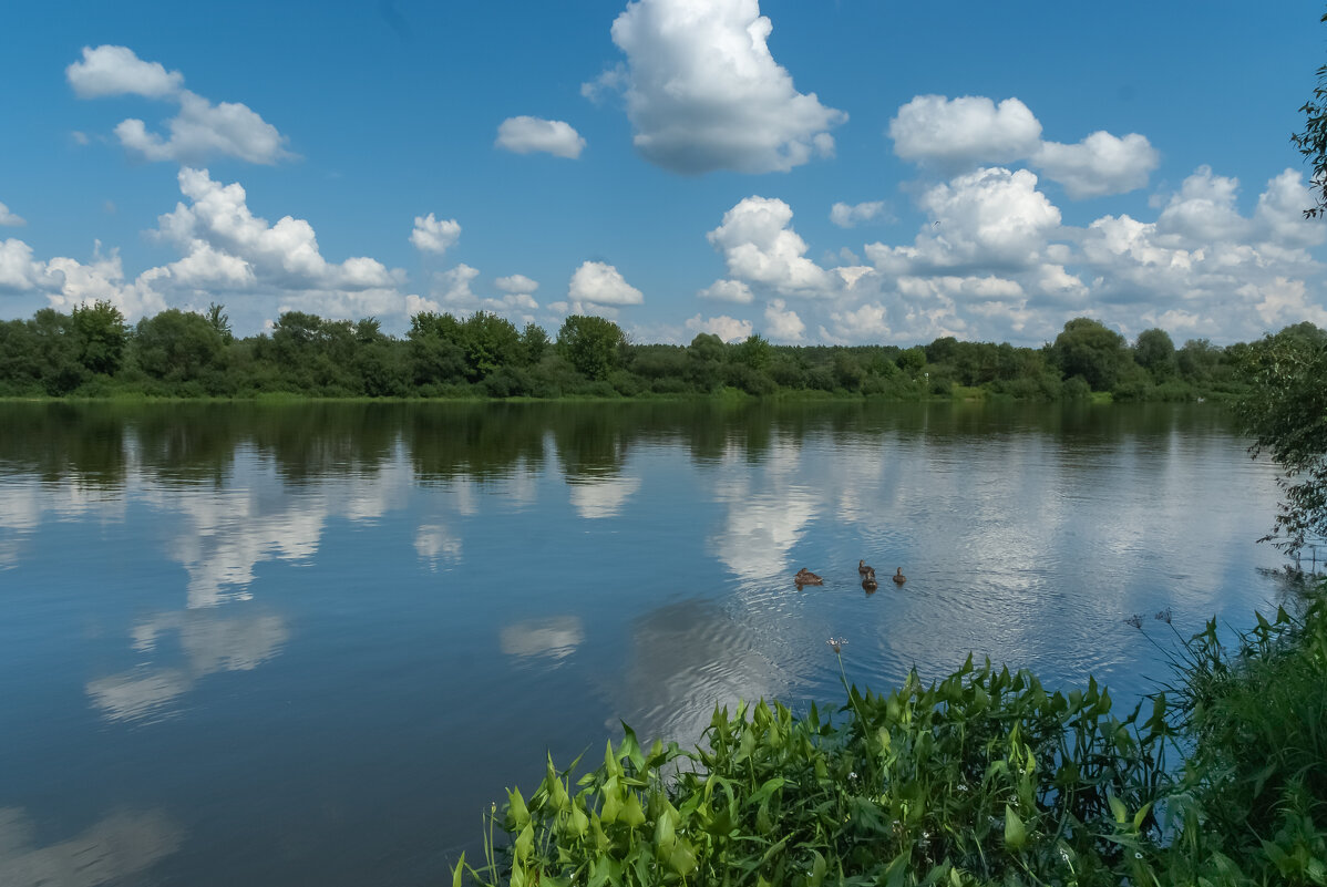 ... - василий 