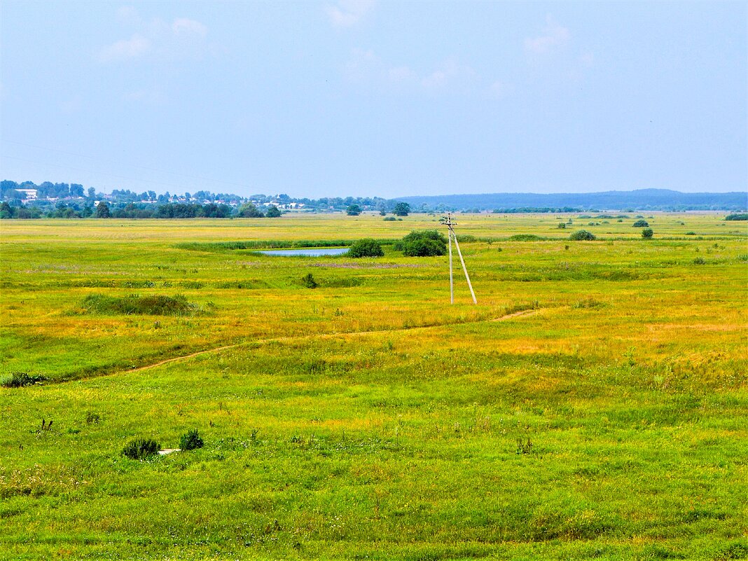 Алатырь. Пойменное озеро Кривуши. - Пётр Чернега