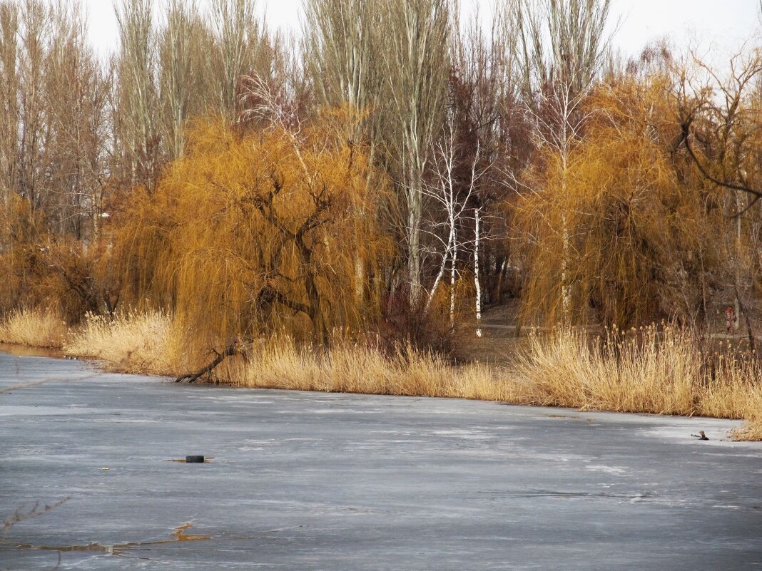 был март - Елена Шаламова