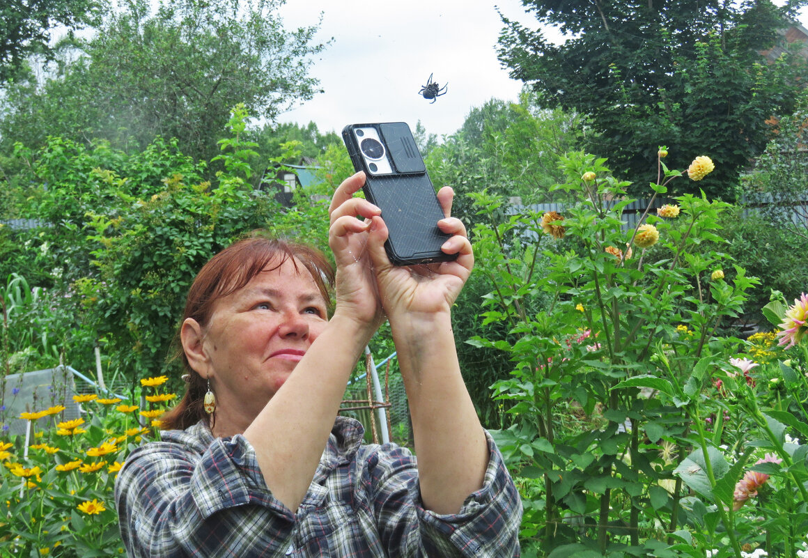 когда на даче делать нечего - ИРЭН@ .