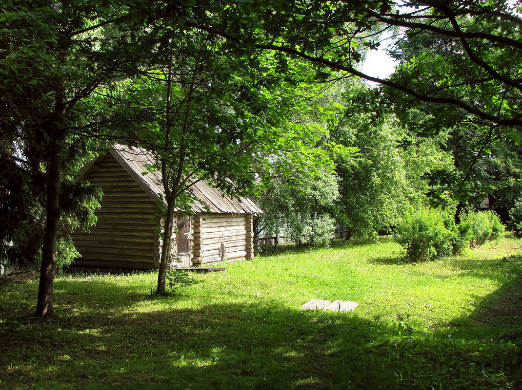 Банька в саду - Александр Ильчевский 