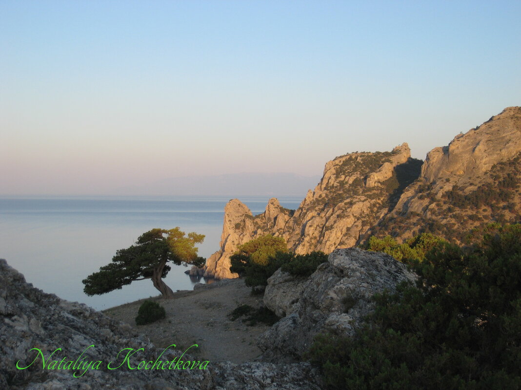 Природа Крыма - Amazing Cosmea