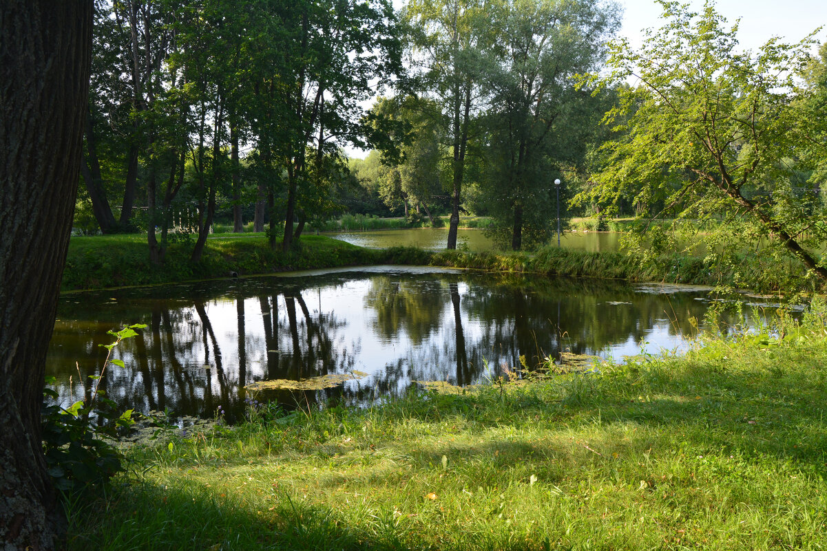 Малый пруд - Александр Буянов Малый пруд - Александр Буянов